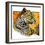 "Leopard,"August 29, 1931-Jack Murray-Framed Giclee Print