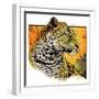 "Leopard,"August 29, 1931-Jack Murray-Framed Giclee Print