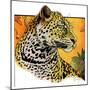 "Leopard,"August 29, 1931-Jack Murray-Mounted Giclee Print