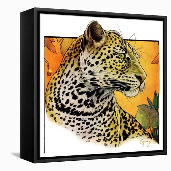 "Leopard,"August 29, 1931-Jack Murray-Framed Stretched Canvas