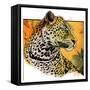 "Leopard,"August 29, 1931-Jack Murray-Framed Stretched Canvas