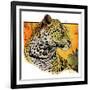 "Leopard,"August 29, 1931-Jack Murray-Framed Giclee Print