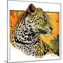 "Leopard,"August 29, 1931-Jack Murray-Mounted Giclee Print