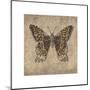 Leopard Butterfly-Jennifer Brice-Mounted Giclee Print