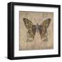 Leopard Butterfly-Jennette Brice-Framed Art Print