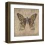 Leopard Butterfly-Jennette Brice-Framed Art Print