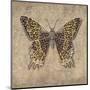 Leopard Butterfly-Jennette Brice-Mounted Art Print