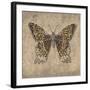 Leopard Butterfly-Jennette Brice-Framed Art Print