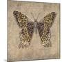 Leopard Butterfly-Jennette Brice-Mounted Art Print