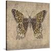 Leopard Butterfly-Jennette Brice-Stretched Canvas