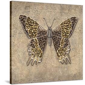 Leopard Butterfly-Jennette Brice-Stretched Canvas