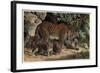 Leopard by Alfred Edmund Brehm-Stefano Bianchetti-Framed Giclee Print