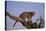 Leopard Climbing Tree-DLILLC-Stretched Canvas