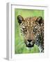 Leopard Close-Up of Head-null-Framed Photographic Print