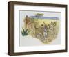 Leopard Cubs (Panthera Pardus), Felidae, Drawing-null-Framed Premium Giclee Print