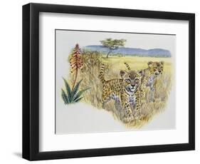 Leopard Cubs (Panthera Pardus), Felidae, Drawing-null-Framed Premium Giclee Print