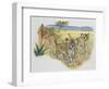 Leopard Cubs (Panthera Pardus), Felidae, Drawing-null-Framed Premium Giclee Print