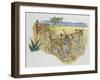 Leopard Cubs (Panthera Pardus), Felidae, Drawing-null-Framed Giclee Print