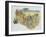 Leopard Cubs (Panthera Pardus), Felidae, Drawing-null-Framed Giclee Print