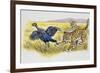 Leopard Cubs (Panthera Pardus)-null-Framed Giclee Print