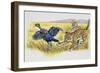 Leopard Cubs (Panthera Pardus)-null-Framed Giclee Print