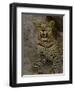 Leopard Female Cub, Savuti Channal, Linyanti Area, Botswana-Pete Oxford-Framed Photographic Print