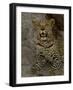 Leopard Female Cub, Savuti Channal, Linyanti Area, Botswana-Pete Oxford-Framed Photographic Print