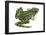 Leopard Frog (Rana Pipiens), Amphibians-Encyclopaedia Britannica-Framed Poster