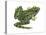 Leopard Frog (Rana Pipiens), Amphibians-Encyclopaedia Britannica-Stretched Canvas