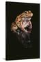 Leopard Frog-DLILLC-Stretched Canvas