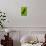 Leopard Gecko (Eublepharis Macularius) on Banana Leaf, Tortuguero, Costa Rica-null-Stretched Canvas displayed on a wall