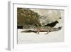 Leopard Gecko-null-Framed Photographic Print