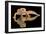 Leopard Gecko-Dikky Oesin-Framed Photographic Print