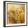 Leopard head, 2014-Francesca Sanders-Framed Giclee Print