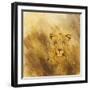 Leopard head, 2014-Francesca Sanders-Framed Giclee Print