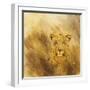 Leopard head, 2014-Francesca Sanders-Framed Giclee Print