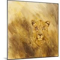 Leopard head, 2014-Francesca Sanders-Mounted Giclee Print