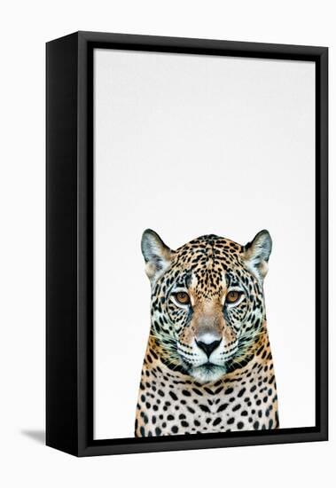 Leopard II-Tai Prints-Framed Stretched Canvas