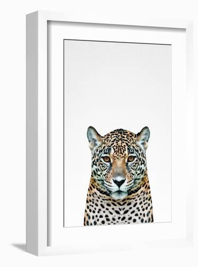 Leopard II-Tai Prints-Framed Art Print