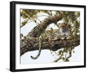 Leopard in a Tree I-Spencer Hodge-Framed Giclee Print