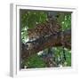 Leopard in a Tree-Scott Bennion-Framed Photo