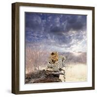 Leopard in Bush-Andrushko Galyna-Framed Photographic Print