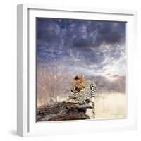 Leopard in Bush-Andrushko Galyna-Framed Photographic Print