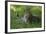 Leopard in Grass-Mary Ann McDonald-Framed Photographic Print