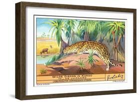 Leopard in the Congo-null-Framed Art Print