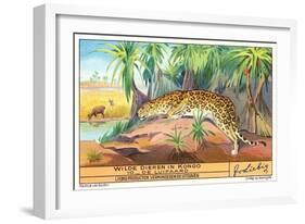 Leopard in the Congo-null-Framed Art Print