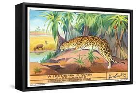Leopard in the Congo-null-Framed Stretched Canvas