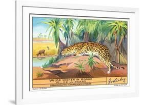 Leopard in the Congo-null-Framed Art Print
