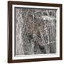 Leopard in the Grass-Scott Bennion-Framed Photo