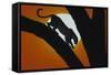 Leopard in Tree-DLILLC-Framed Stretched Canvas